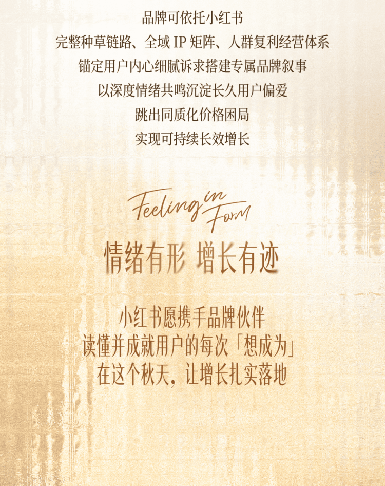1784250647-f0201d66b8ccd1e 1784250647-f0201d66b8ccd1e